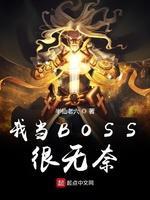 我当BOSS刷玩家封面