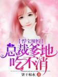 悍宝辣妈：总裁爹地吃不消封面