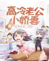 高冷老公，小娇妻封面