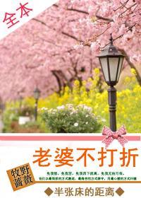 半张床的距离：老婆不打折封面