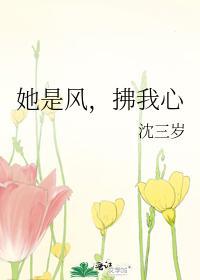 她是风，拂我心封面