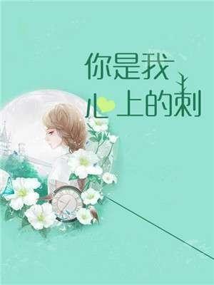 爱有天意许晴祁邵川封面