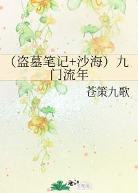 九门流年封面