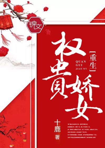 唐茵陆迟机长封面
