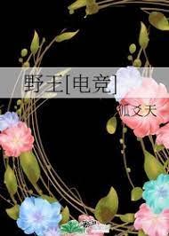 野王[电竞]封面