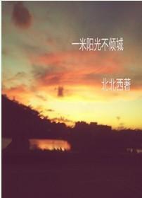 一米阳光不倾城封面