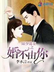 陆少谋妻之婚不由你封面