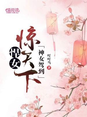 神女驾到：悍女惊天下封面