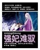 强妃难驭封面