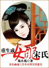 重生成女配宋氏封面