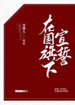 在国旗下宣誓封面