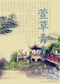 萱草青青封面