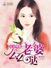 追妻嗜瘾：老婆么么哒封面