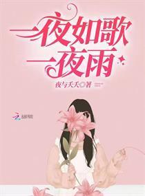 一夜如歌一夜雨封面