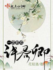 一念悲欢许君卿封面