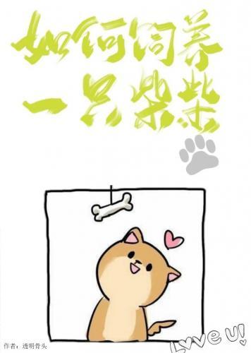 如何饲养一只柴柴封面