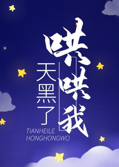天黑了哄哄我封面