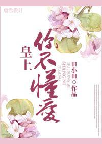 皇上，你不懂爱封面