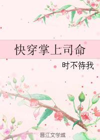 快穿掌上司命封面