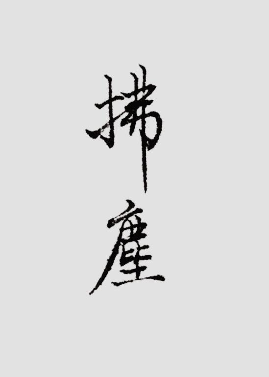 拂尘封面