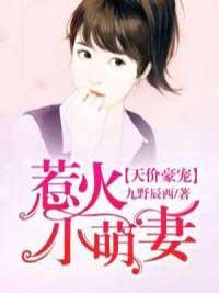 天价豪宠：惹火小萌妻封面