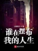 谁在摆布我的人生封面