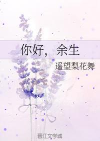 你好，余生封面