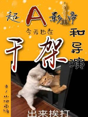 超A影帝今天也在和导演干架封面