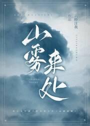 山雾来处封面