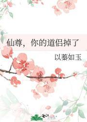 仙尊，你的道侣掉了封面