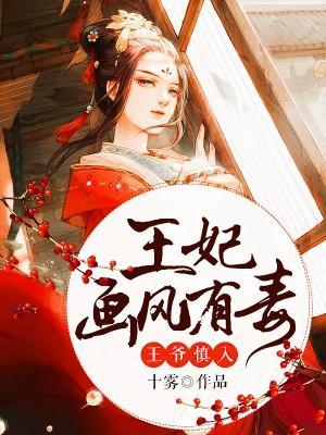 王爷慎入：王妃画风有毒封面