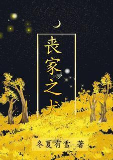 丧家之犬封面