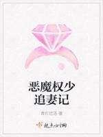 恶魔权少追妻记封面