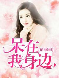 请乖乖呆在我身边封面