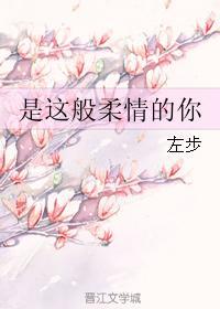 是这般柔情的你封面
