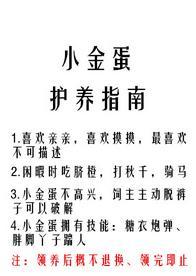 小金蛋护养指南封面