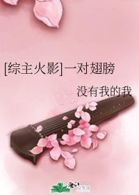 [综主火影]一对翅膀封面
