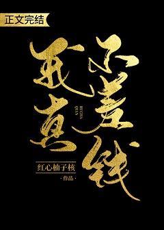 我真不差钱封面