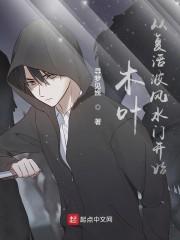 木叶：从复活波风水门开始封面