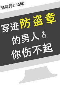 穿进防盗章的男人你伤不起封面