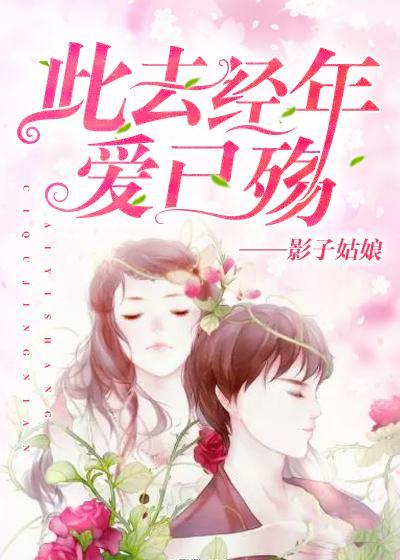 此去经年爱已殇封面