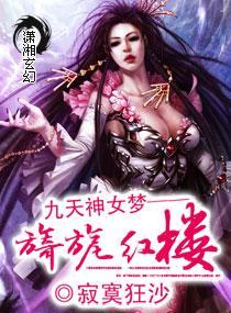 九天神女梦——旖旎红楼封面
