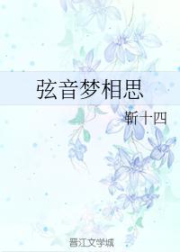 弦音梦相思封面
