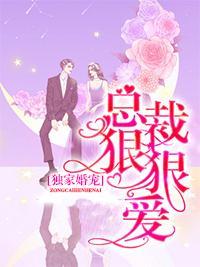 独家婚宠：总裁，狠狠爱封面