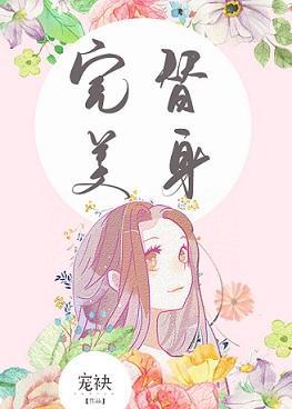 完美替身封面