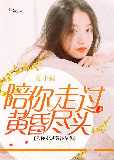 陪你走过黄昏尽头封面