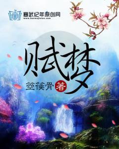 赋梦封面