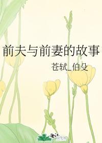 前夫与前妻的故事封面