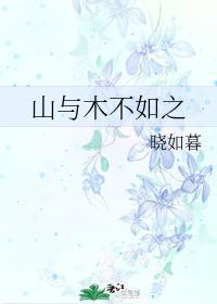 山与木不如之封面