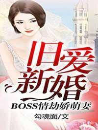 旧爱新婚：Boss情劫娇萌妻封面